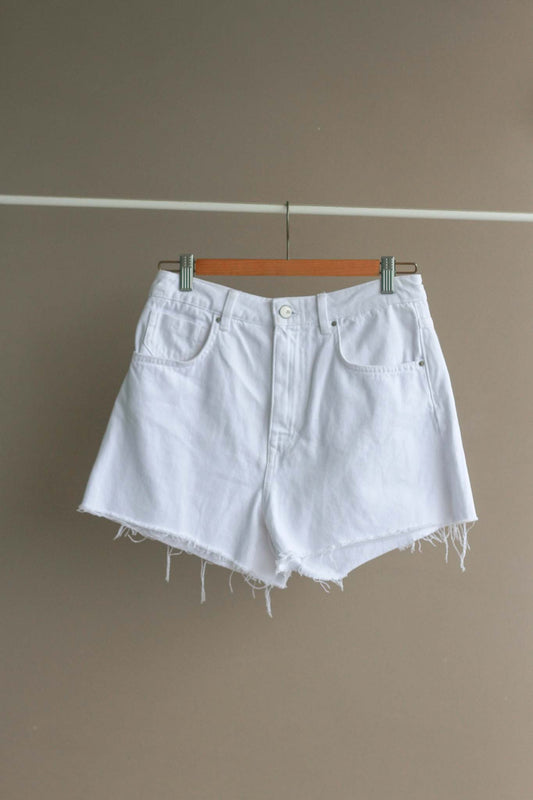 Zara Denim Shorts with Raw Hems