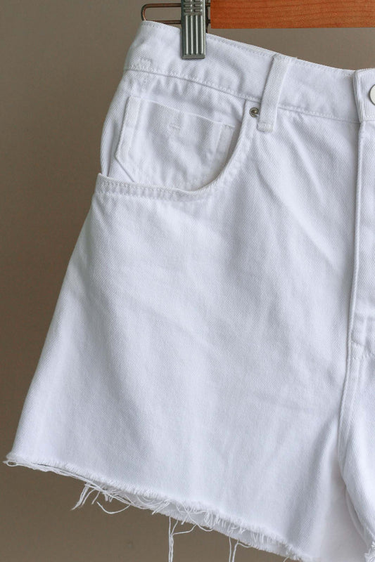 Zara Denim Shorts with Raw Hems